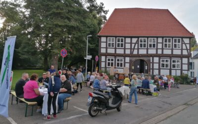 Picknick im Park