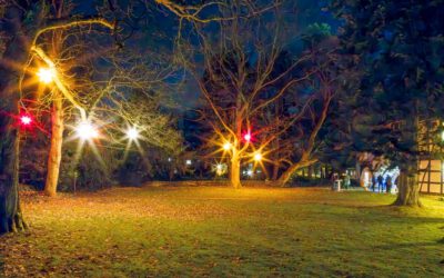 75 Jahre Heimatverein Heiligenkirchen: Herrnhuter Sterne strahlen im Park
