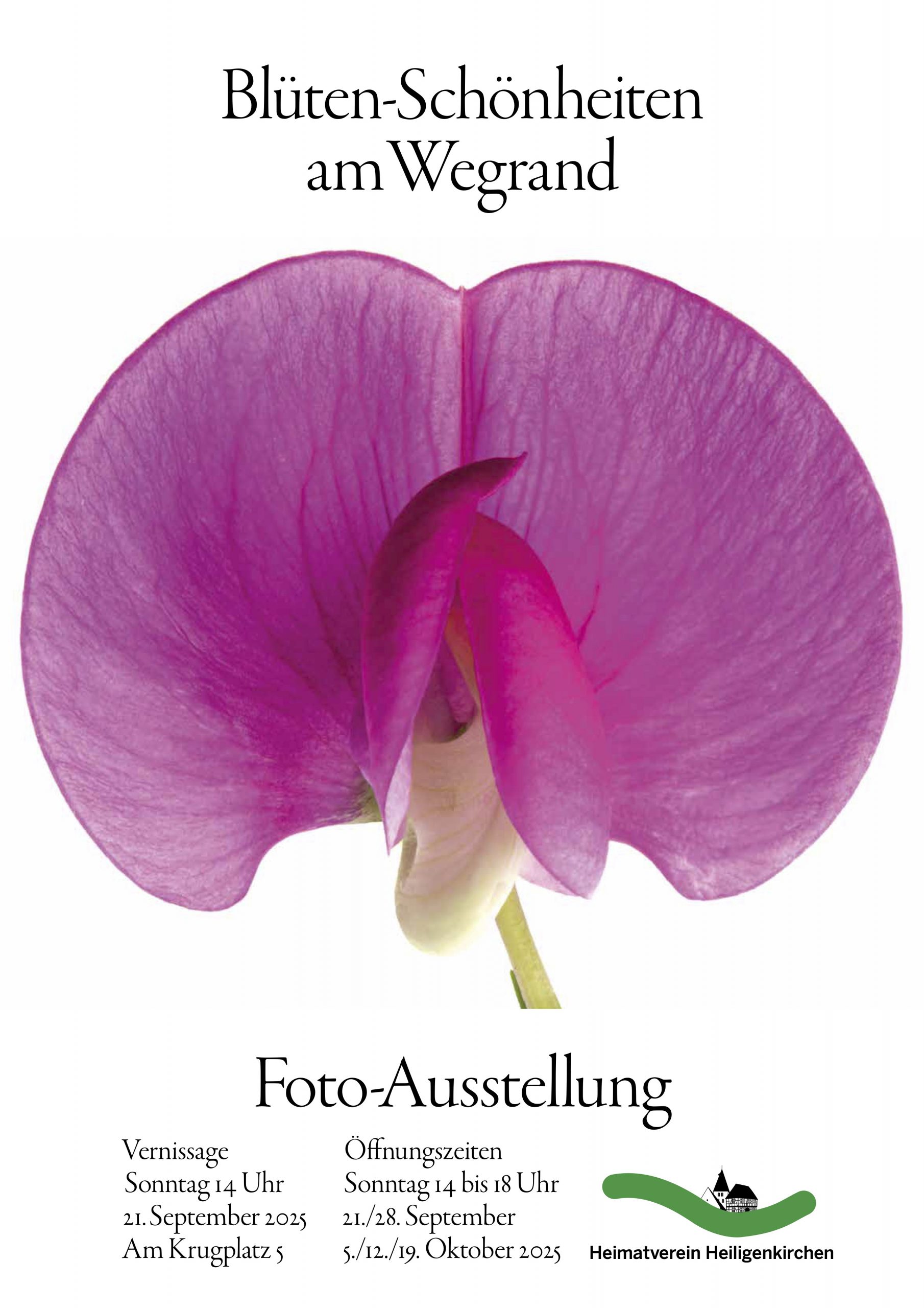 Ausstellungsplakat Blüten-Schönheiten am Wegrand