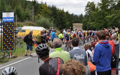 Lidl-Deutschlandtour führte vom Hermann durch Heiligenkirchen zur Gauseköte