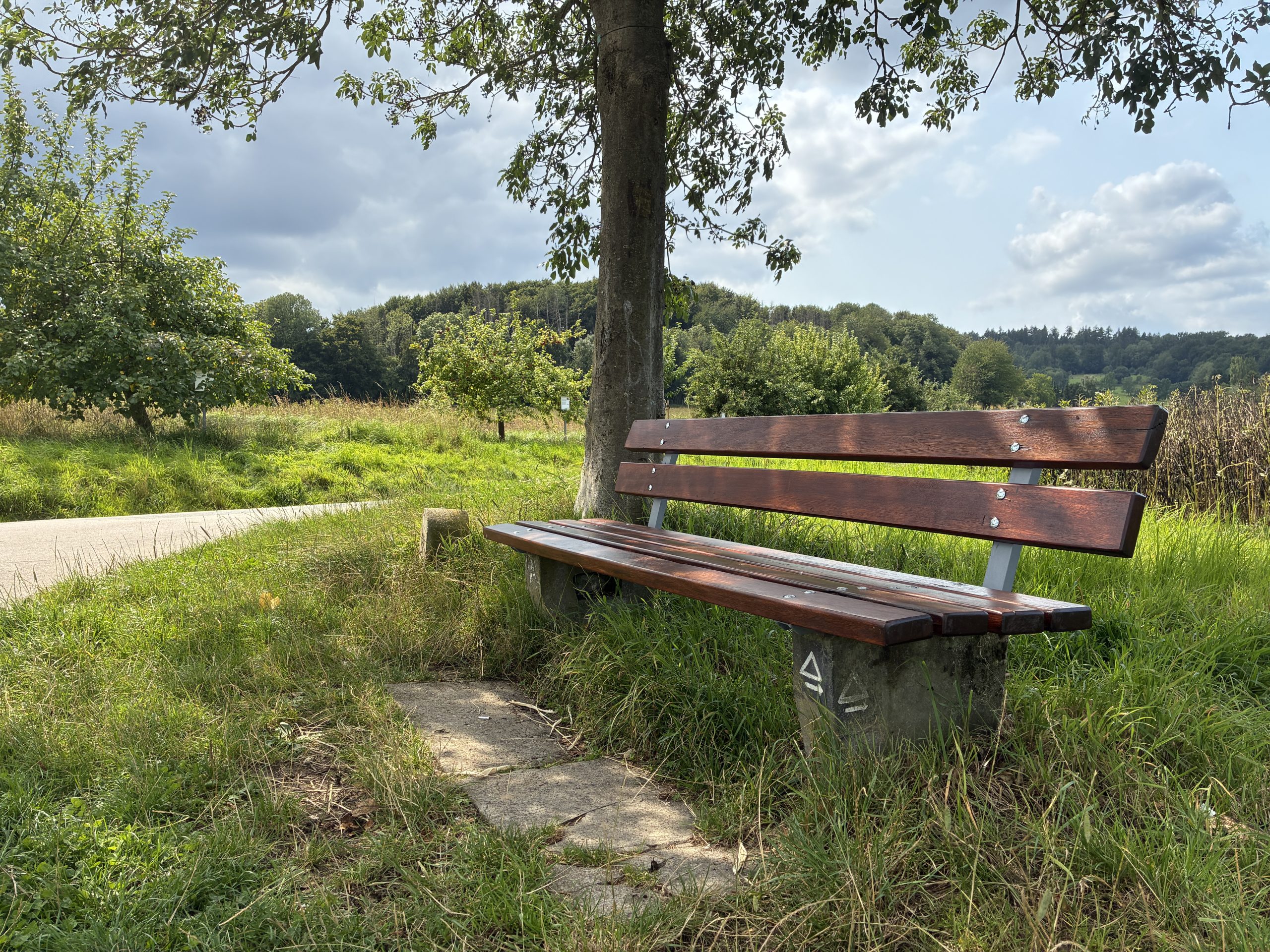 neue Ruhebank am Plasskampweg