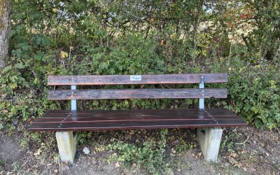 Heimatverein renoviert 40 Ruhebänke