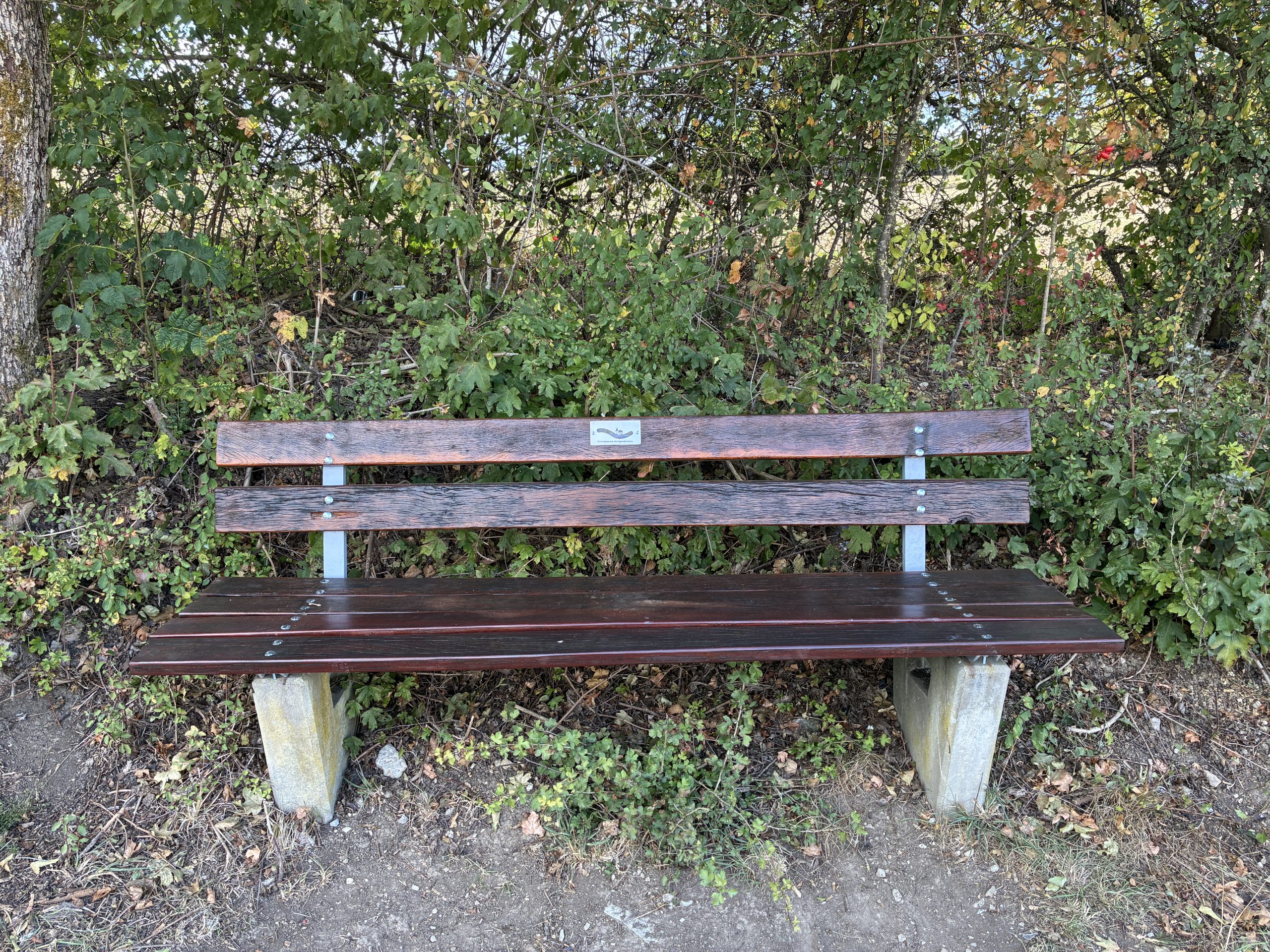 Ruhebank Schauinsland
