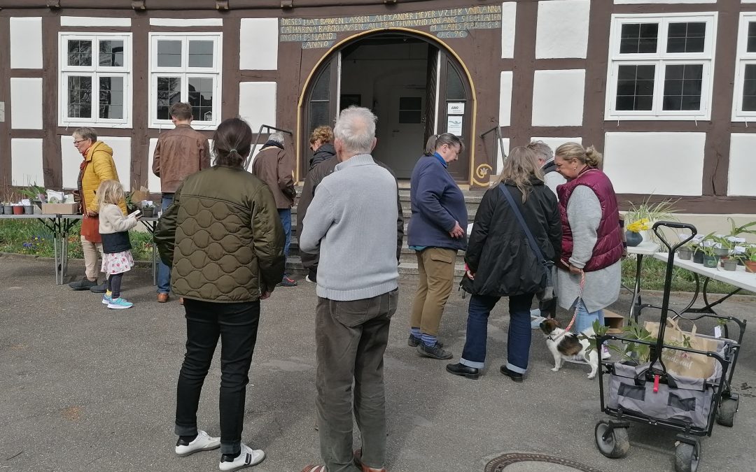 Zahlreiche Teilnehmende bei der 1. Pflanzentauschbörse